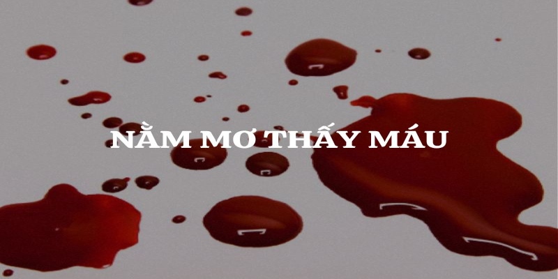 Giải mã mơ thấy máu và những con số may mắn phát tài 5 Ngủ mơ thấy máu là điều thường gặp trong cuộc sống