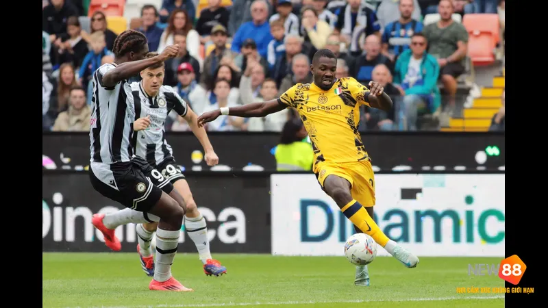 Khán giả chờ đợi điều gì từ: Inter vs Cremonese: trong cuộc chiến này? 1 inter vs cremonese google 1981 featured